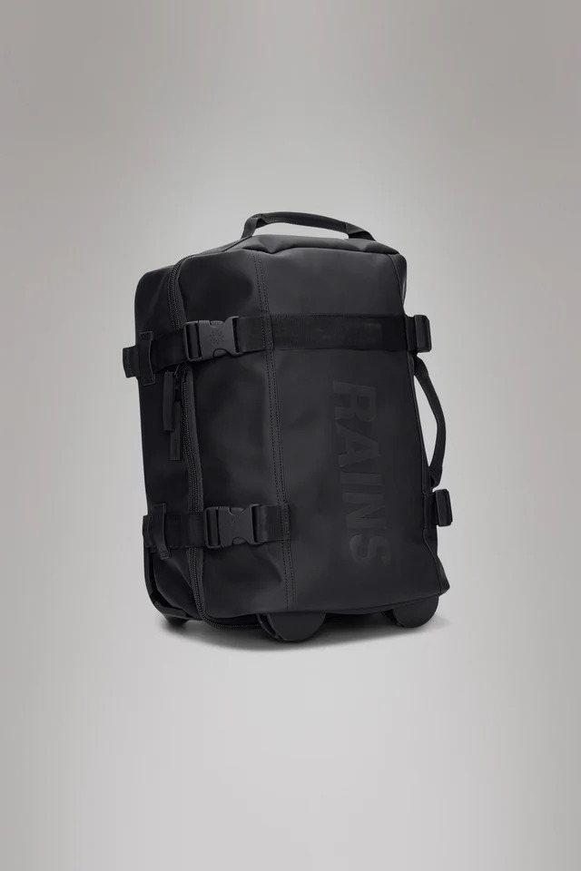 RA/14790 – BORSA – RAINS
