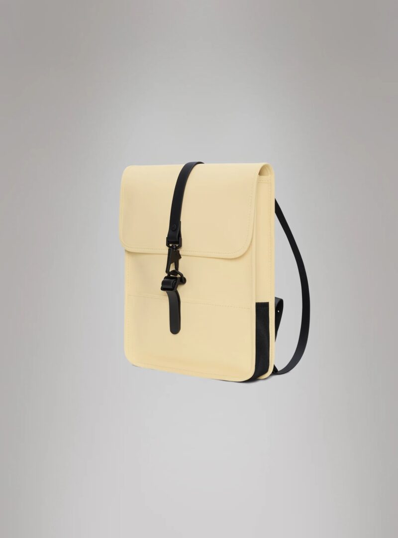 RA/13010 – BORSA – RAINS