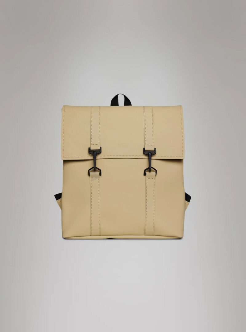 RA/13310 – BORSA – RAINS